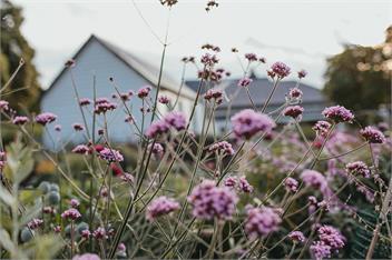 'Accrington Farmhouse' at Ridgecliff Farm ~ Coastal Country Escape, Little Akaloa - Little Akaloa