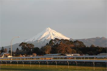 Nikau Retreat - New Plymouth