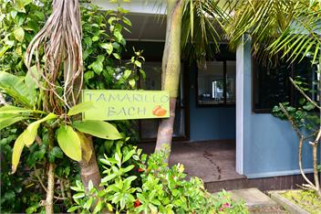 Tamarillo Bach - Northland