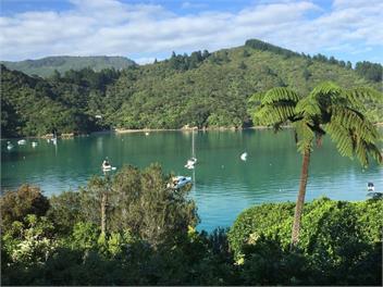 Te Mahia Haven - Marlborough