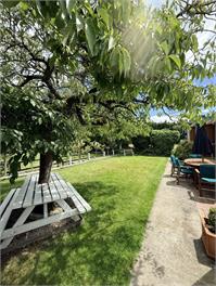 Twin Oaks Cottage - Nelson