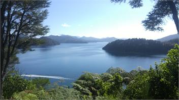 SPACIOUS BEAUTIFUL NGAKUTA BAY     - 