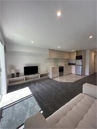 Brand-New, Central, Ground Floor Apartment -