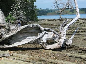 LazyDays Hideaway... - Warkworth