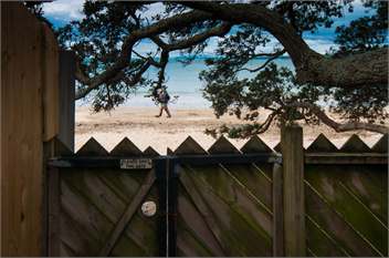 Takapuna Family Beach House - Auckland