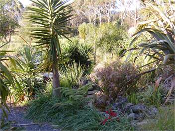 Milton Park Sunset cottage - Kaikohe