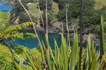 Kotari Point - Whangarei Northland