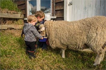 Te Horo Farmstay - Otaki