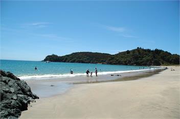 The Greenie - On the Water - Whangarei