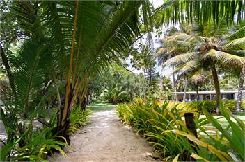 Anchor's Rest, Betela Beach - Rarotonga - Aroa