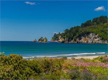 Sandy Doorstep (Bachcare) - Whangamata