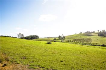 Bever Farm Cottage - North Auckland