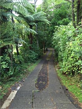 Nikau Retreat - New Plymouth