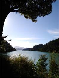 Secluded Kenepuru Retreat. Beach, Bush & 50ha Farm - Picton