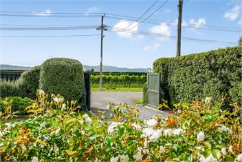 The Frost Pot - Martinborough