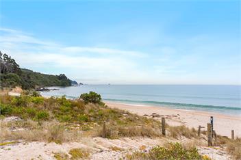 Matahari Beachfront Tairua - Pet Friendly - Tairua