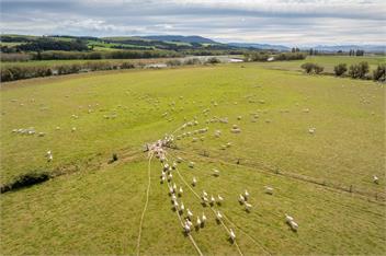 Strathvale River Cottage (Bachcare) - Winton