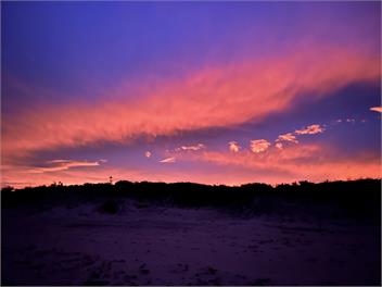 Casa Acta - Reel Road - Waihi Beach