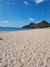 OCEAN BEACH OASIS - Coromandel