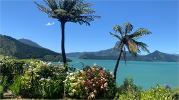 Sunny Family Style Bach/Holiday Home - Marlborough Sounds