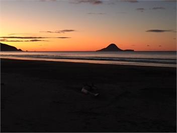Hilltop - Ohope