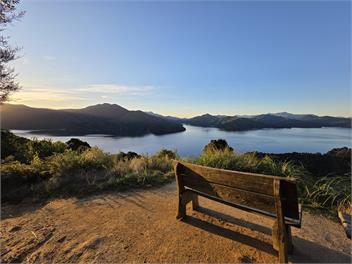 SPACIOUS BEAUTIFUL NGAKUTA BAY     - 