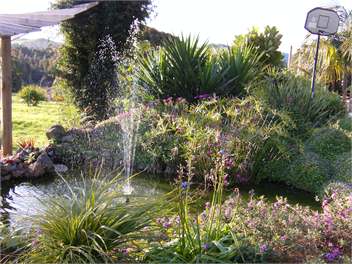 Milton Park Sunset cottage - Kaikohe