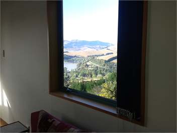 The Harrier's View - Christchurch