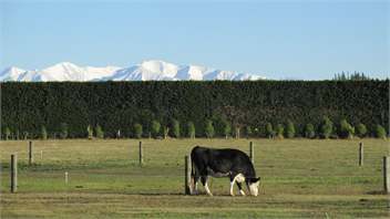 Eyreview Retreat - Free Unlimited WiFi - Christchurch