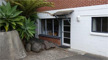 Explore bush and beach - Auckland