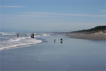 Boatshed - Waikuku Beach - Christchurch
