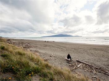 Waikanae Retreat (Bachcare) - Waikanae Beach