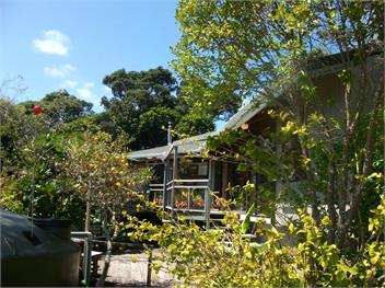Bush Beach Delight (Bachcare) - Onetangi