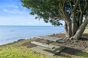 Ekhaya (Bachcare) - New Plymouth