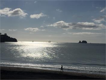 70's Iconic Bach - Whitianga