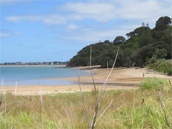 Perehipe Lookout - Northland