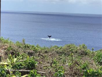 Lolani's Retreat (Niue) - Makefu