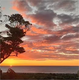 Glass Horizon (Bachcare) - Ruthherglen