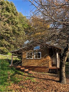 Kererū Cottage - Cheviot