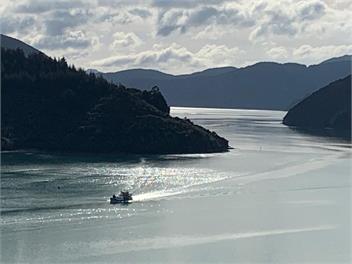 Sunny Family Style Bach/Holiday Home - Marlborough Sounds