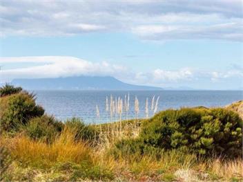 Pakiri Beachhouse Retreat and Relax - Auckland