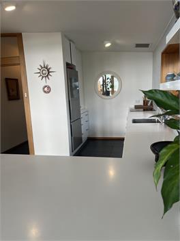 Mid Century Beauty - Christchurch