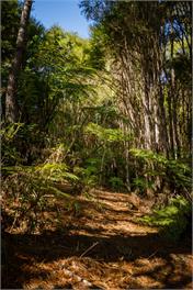 Kauri Cottage at Marble Hills (Bachcare) - 