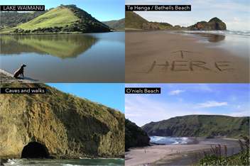Ara Station - Bethells Beach