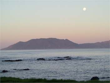 Waihau Bay Cottage - Waihau Bay