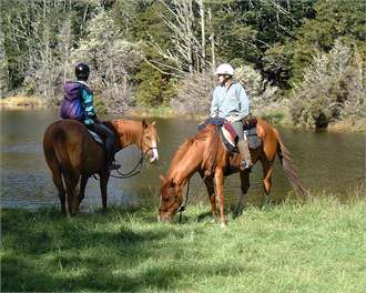 Lancewood Lodge - Mt Lyford