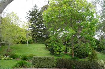 Cottage at Quail Run - Nelson
