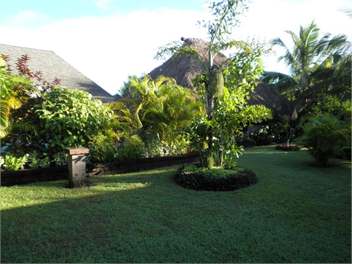 Nai Kawakawa - Malolo Lailai Island - Malolo Lailai