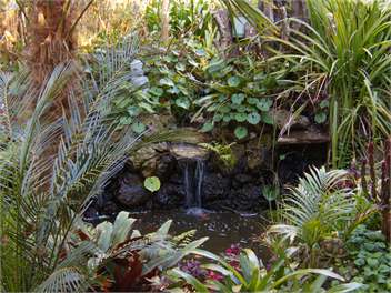 Milton Park Sunset cottage - Kaikohe