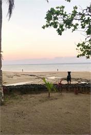 The Private Residence Exclusive Beachfront Resort - Sigatoka